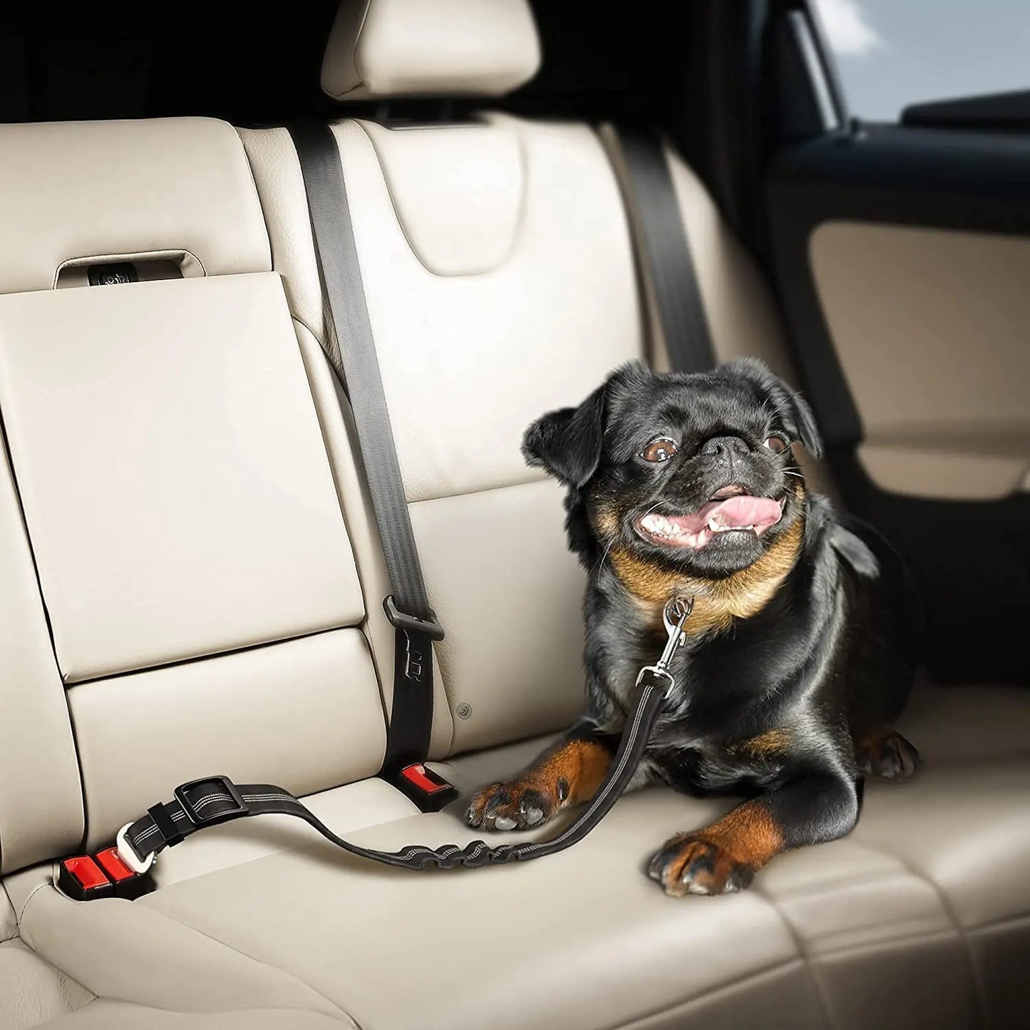 Dog Car Seat Belt, Adjustable Elastic Safety Leash for Car Travel